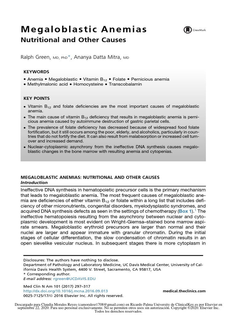 Megaloblastic Anemias Download Free PDF Vitamin B12 Anemia