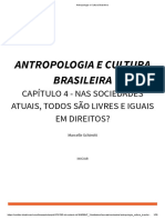 Desigualdades sociais e preconceitos no Brasil