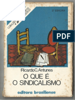 Ricardo Antunes - O Que é o Sindicalismo