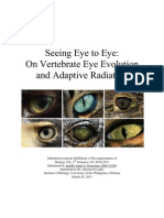 Seeing Eye To Eye: Vertebrate Eye Evolution and Adaptive Radiation