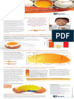 Carophyll Guidelines Amended SPAN Web