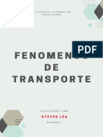 Steyer Link Fenomenos de Transporte