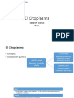 El Citoplasma y Citoesqueleto