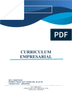 Curriculum Empresarial 01