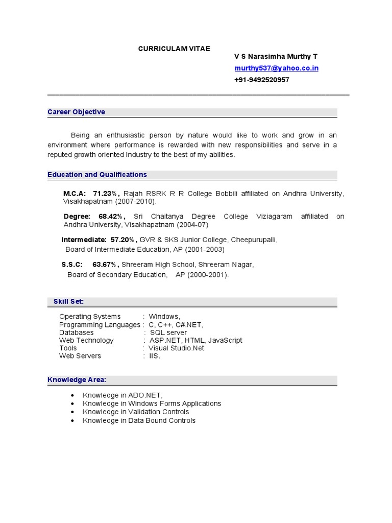 Murthy Curriculum1 | PDF | Internet & Web | World Wide Web