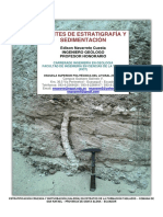 Apuntes Estratigrafia Sedimentacion Emnc 1 2017