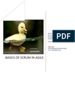 SCRUM in Agile