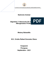 Digestión Y Absorción de Compuestos Nitrogenados Proteicos Nutricion Animal