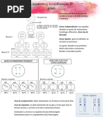 5ta Clase Genetica Ligamiento y Recombinación de Genes
