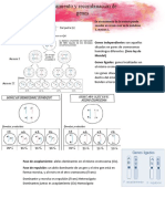 5ta Clase Genetica Ligamiento y Recombinación de Genes