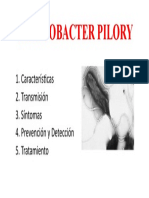 Helicobacter Pylori