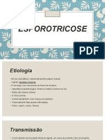 Esporotricose-causas-sintomas-tratamento