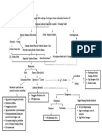 TOF Pathway