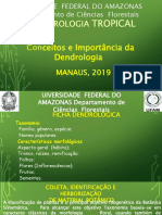 Tema 1_dendrologia Tropical 15.08_português