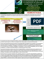 10 11 Fisiopatología de La Coagulación Transcrito Dra Baena Med