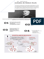 El Ántrax y Los Postulados de R. Koch