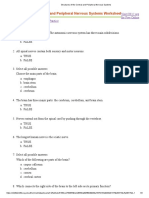 Structures of The Central and Peripheral Nervous Systems Worksheet