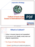 Social & Cultural Issues in International Cooperation