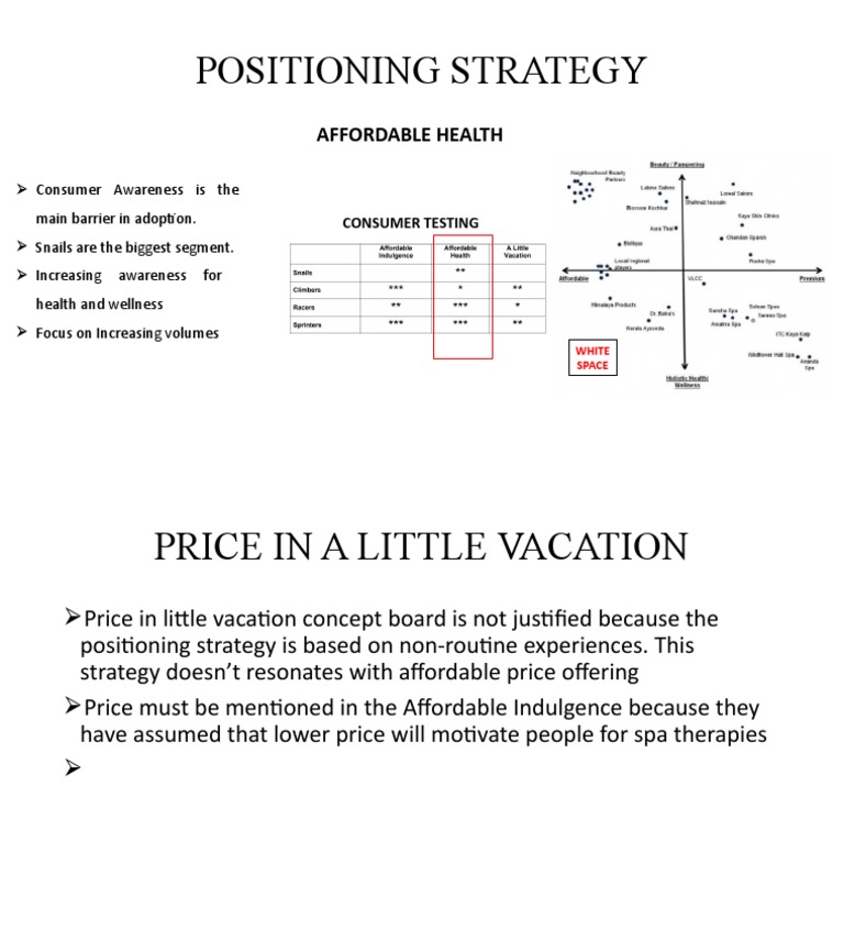 Positioning Strategy | PDF