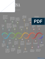 Linha Do Tempo Do DNA