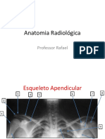 Anatomia Radiológica (1)
