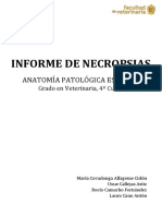 Informe de Necropsias