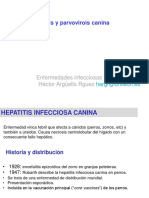 Perro-Gato 3. Hepatitis y Parvovirosis Canina