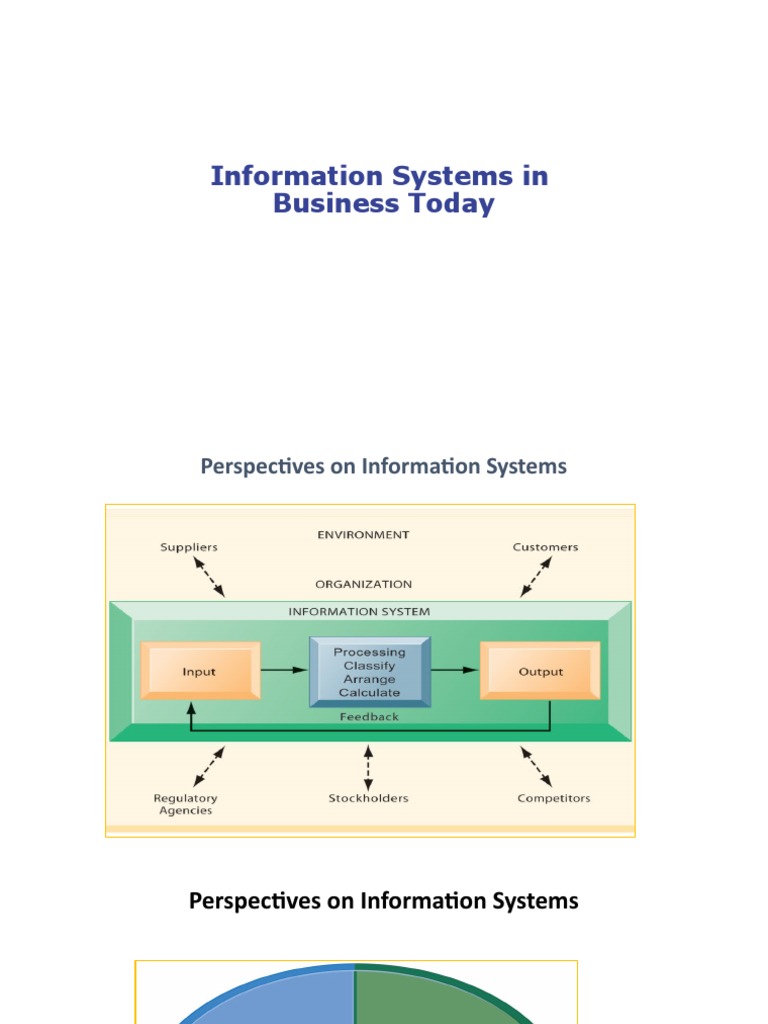 Information Systems in Business Today | PDF