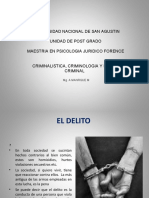 PS Crminalidad - El Delito Maestria.