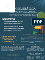 Problematica Ambiental - Grupo8