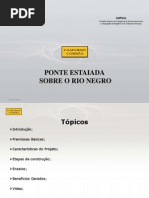 ponte rio negro