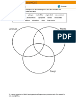 Y9 Kingdoms Venn Diagram (1)