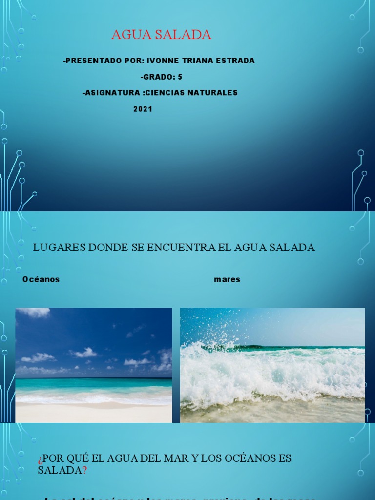 Qué es el Agua de Mar y cómo tomarla [guía completa]