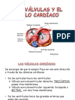 Las Vaìlvulas y El Ciclo Cardiìaco