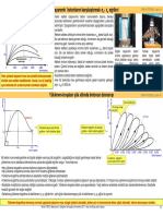 Betonarme_1_2-1