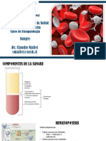 Fisiopatología IV