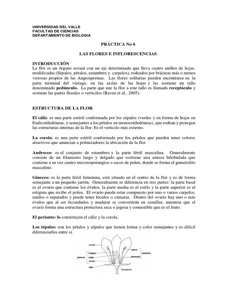 Estructura y Tipos de Flores e Inflorescencias | PDF | Flores ...