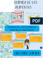 5°año - Ciencias Naturales - Sistema Digestivo 6