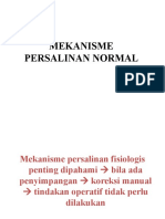 persalinan_normal