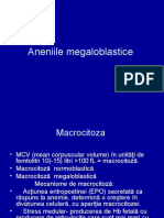 curs 2 - Aneniile megaloblastice (1)