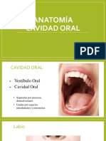 Cavidad Oral y Faringe PPT