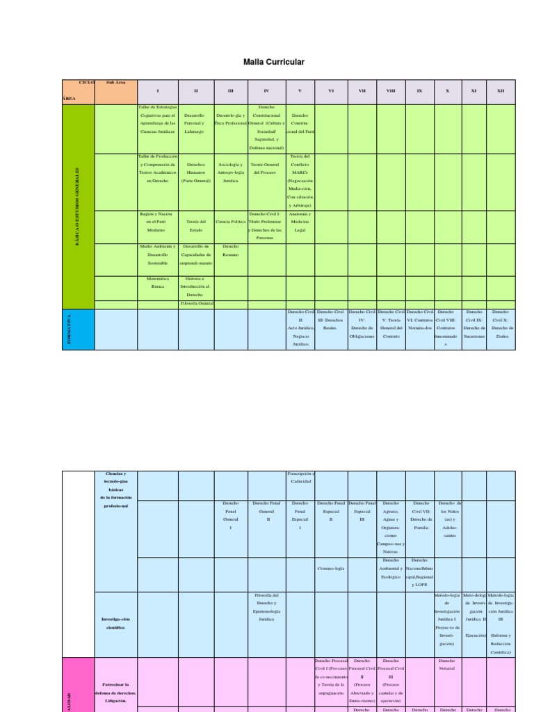 Malla Curricular de Derecho 2024 | PDF | Ley procesal | Derecho penal