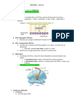 Tradução do RNAm em proteínas