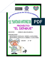 PROYECTO DENGUE