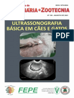 Ultrassonografia em cães e gatos