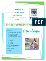 Portafolio Digital Micologia