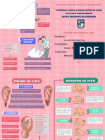 Periodos y Mecanismos Del Parto Pdf-Infografía