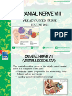 Cranial Nerve VIII Examination