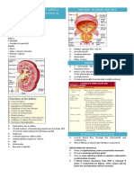 Urinary System: Quick Review Review of Urinary Anatomy & Physiology Ureters, Bladder, Urethra