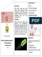 LEAFLET ISK - Dwi Ayu Sita Rasmi - 202311101175